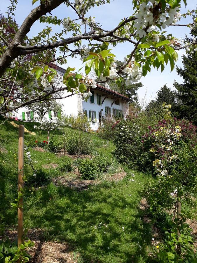 Chez Cathy Bed & Breakfast Arzier Exterior foto